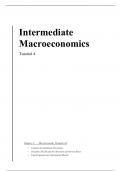 Intermediate Macroeconomics RuG